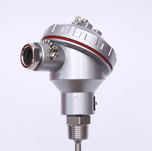 铠装双支热电偶WRNK-236φ20法兰DN50PN1.0L=1118mm0-600℃316L