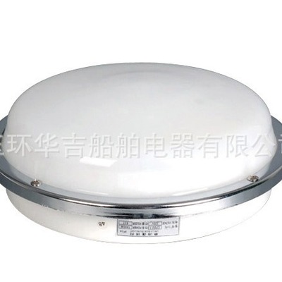 蓬顶灯CPD1-1   单泡蓬顶灯   船用灯具