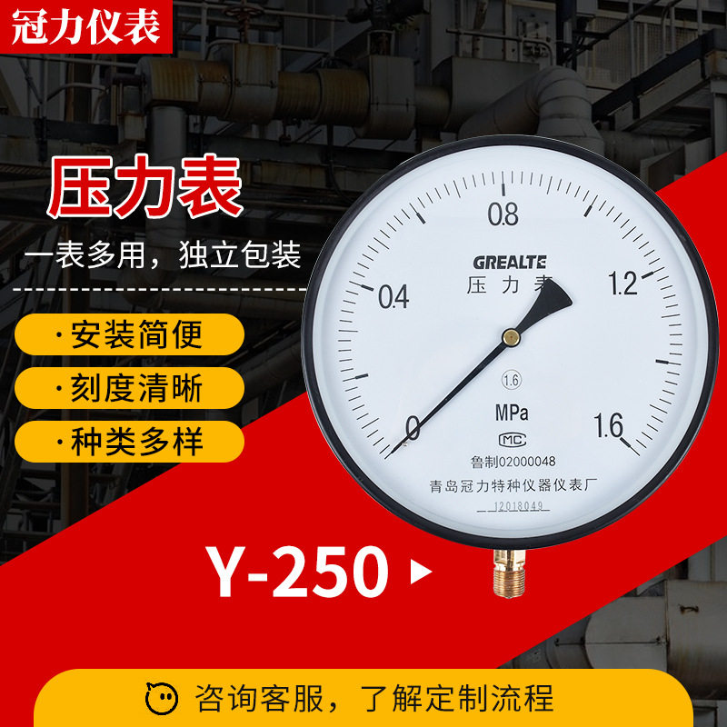 耐震压力表厂家定制 Y-250标准螺纹快插轴向径向水压抗压压力表