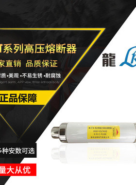 高压熔断器XRNT-12KV/50A-125A 高分断能力熔断器 高压限流熔断器