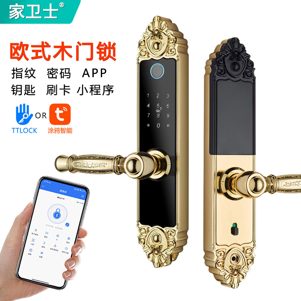 欧式木门智能通通涂鸦指纹锁APP卧室酒店公寓民宿24K金密码锁