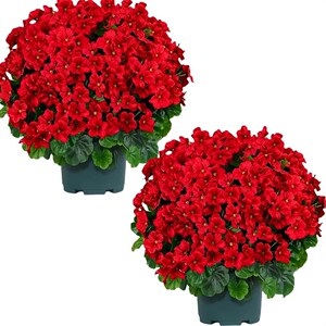 跨镜仿真花海棠花假花道具家居客厅软装设计摆件配材插花外贸批发
