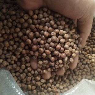 10斤装农家精品枫豆麻豌豆麻豆鸽粮赛飞信鸽粮食鸟食配料包邮