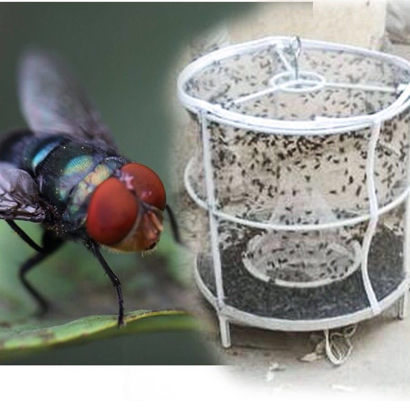 苍蝇捕捉神器捕蝇笼家用户外养殖场蝇子扑补粘灭杀捉抓蝇诱捕器