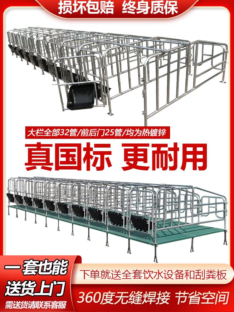 母猪定位栏带漏粪板热镀锌管落地限位单体栏产床猪圈围栏养殖设备