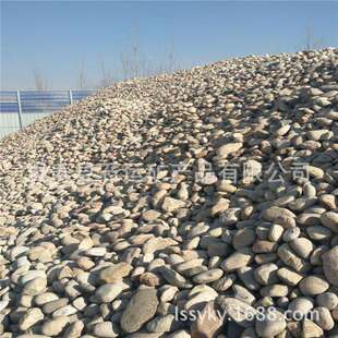 供应鹅卵石河卵石公园铺路鹅卵石人工湖铺垫变电站鹅卵石