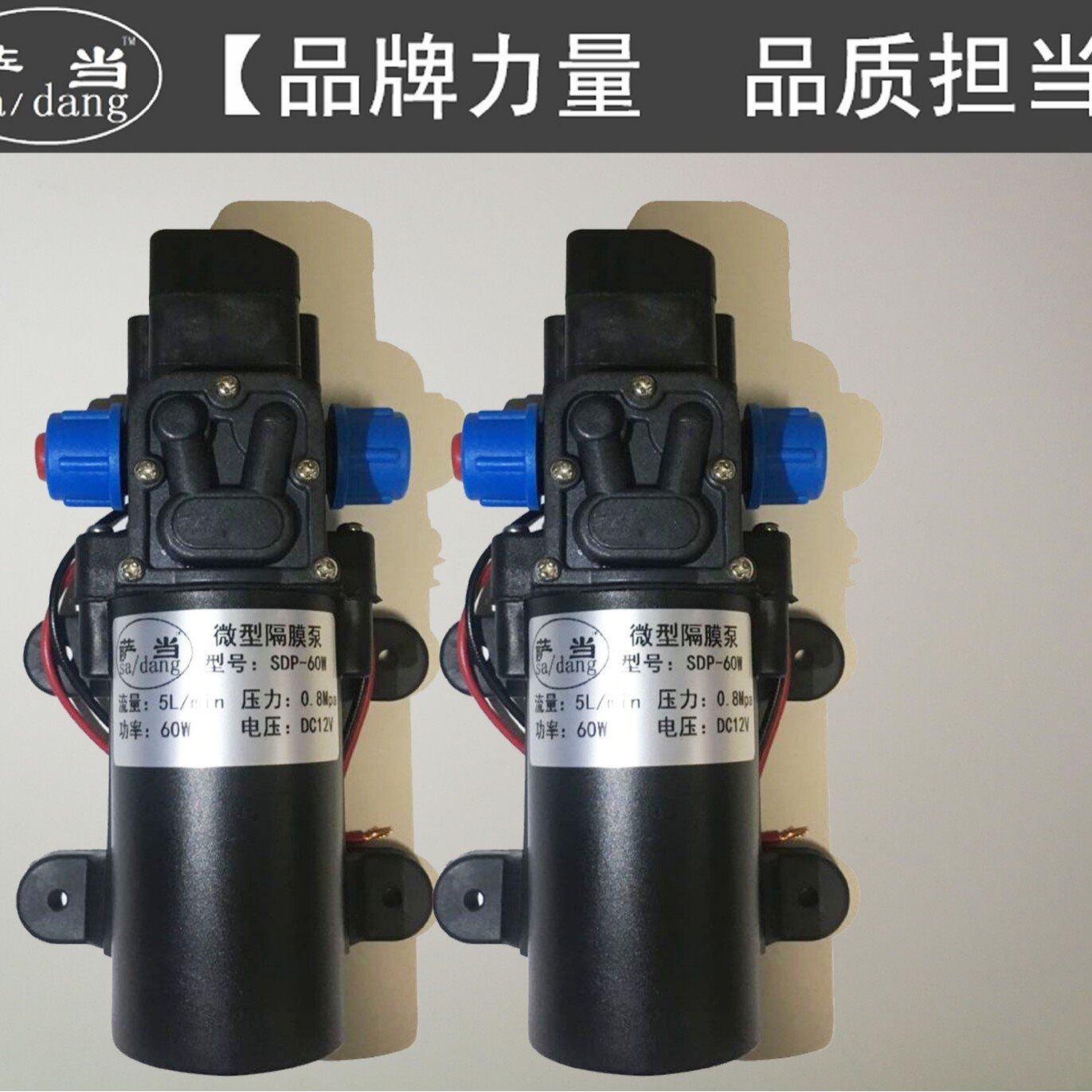 sa/dang电动隔膜泵 泵增压泵小型洗车水泵直流12v60w抽水泵