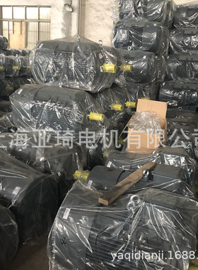 1TL0001-3BC63-3JA4-250KW贝得电机 贝得变频电机