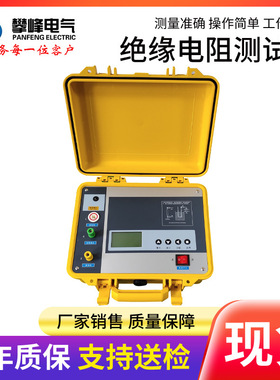绝缘电阻测试仪 数字兆欧表 5000V10000V10KV