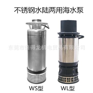 不锈钢水泵耐腐蚀海水泵景观园林井用泵音乐喷泉潜水泵水陆两用泵