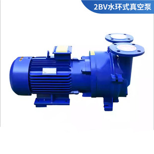 2BV水环式真空泵工业用水循环真空泵高真空水循环真空泵压缩机