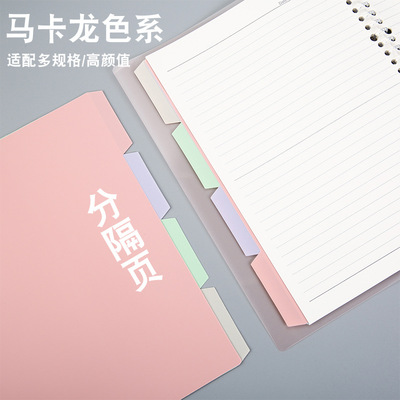 高颜值马卡龙彩色分页分隔纸