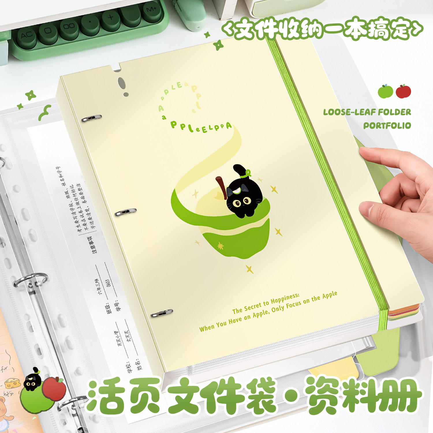 活页文件夹a4资料夹可拆卸11孔图片