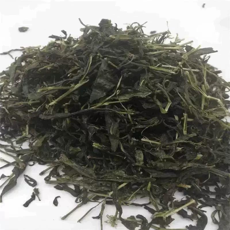 现货广西油茶精选恭城全州苏阳油茶原料新茶500g一支