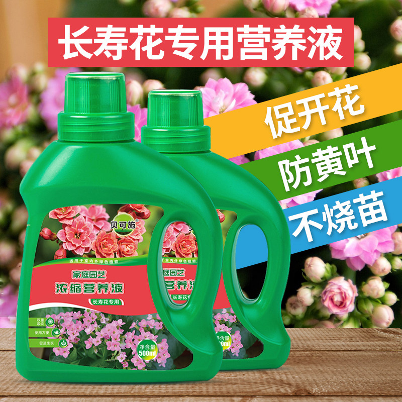 贝可施长寿花专用营养液液体肥花肥水培发财树月季养花草莓肥料