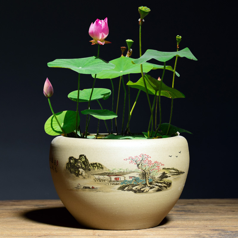 大号陶瓷花盆水仙花室内绿植物水培盆景家居创意个性铜钱草碗莲盆