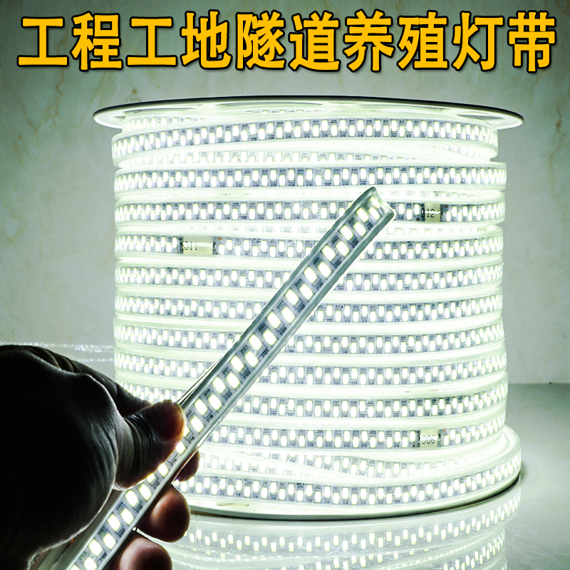 一卷100米灯带led工程亮化照明工地养殖园林装饰220v白光暖光灯条