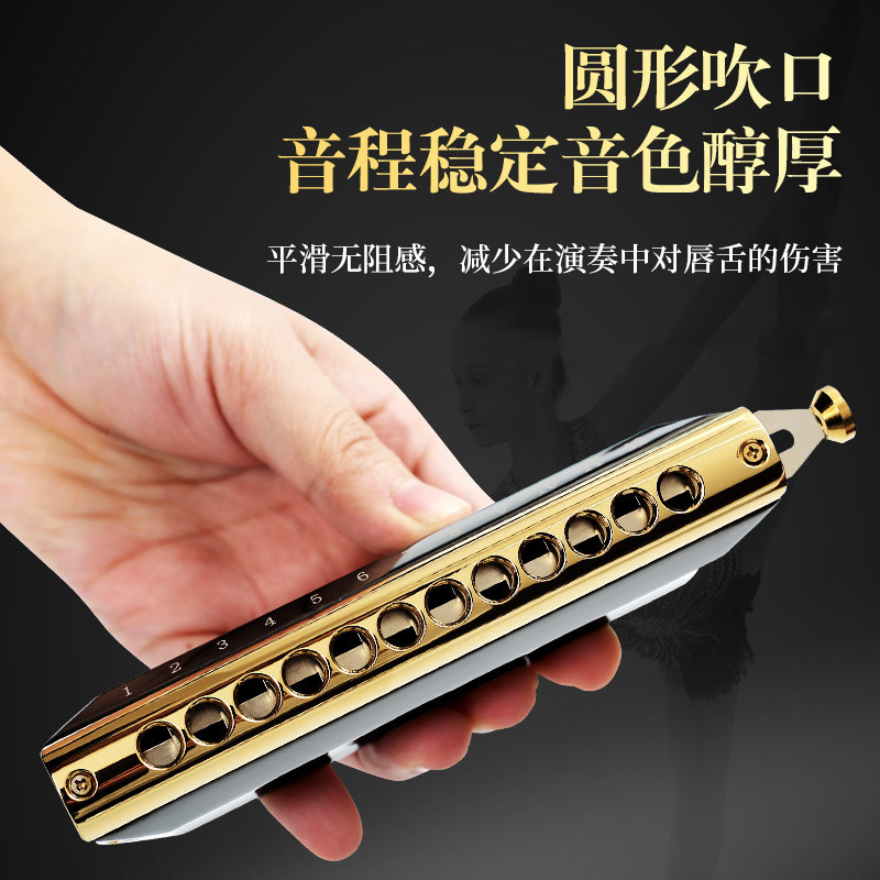 国光国之梦12孔半音阶口琴C调16孔学生初学者入门成人专业演奏级