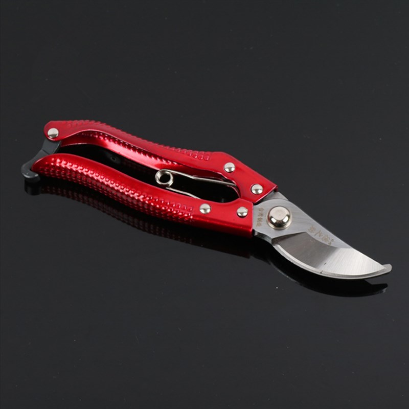 剪枝果树修枝剪刀园艺园林修花枝剪家用强力剪子神器花剪剪枝剪刀