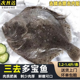 多宝鱼鲜活冷冻比目鱼大号鲽鱼鸦片鱼海鱼菱平鱼扁口鱼偏口鱼海鲜