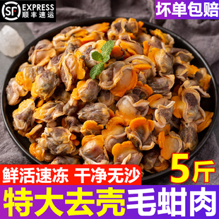 赤贝肉冷冻毛蛤蜊肉毛蚬子毛蚶麻蚶子麻蛤毛蚶肉纯肉整箱商用顺丰