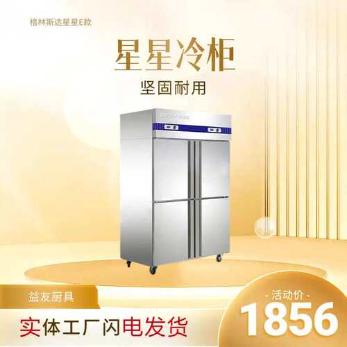 格林斯达XINGX广东星星冷柜E款不锈钢厨房柜冷冻柜双温商用冰箱