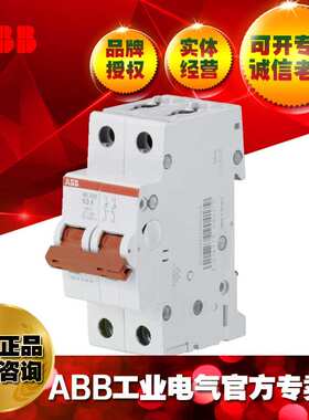 SD202/63 ABB导轨式隔离开关断路器SD202-63;10137290