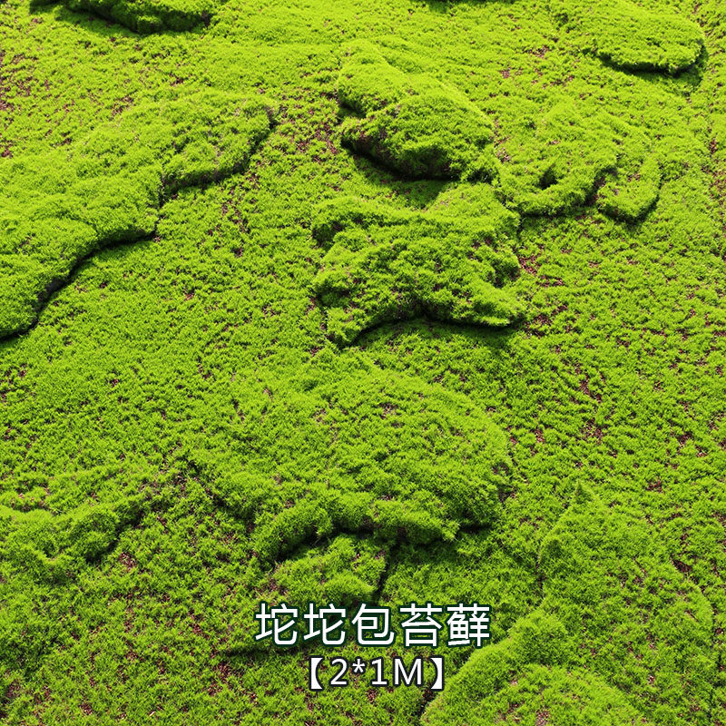 仿真青苔藓草坪造景绿植物墙人造B微景观盆景假草皮假苔藓装饰铺