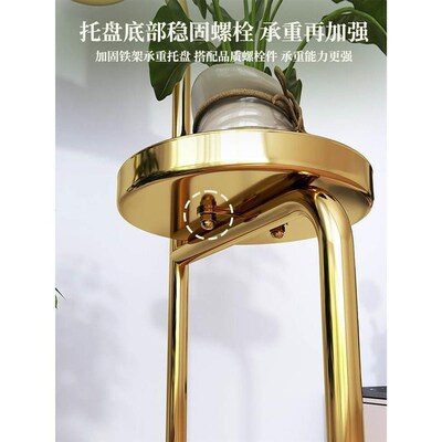 花架子客厅装饰h架落地式植物摆放架阳台置物架室内多层绿萝花盆