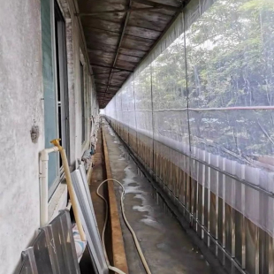 防虫网大棚果园果树纱网防蚊网专用抗G老化庭院九香虫网农用蔬菜