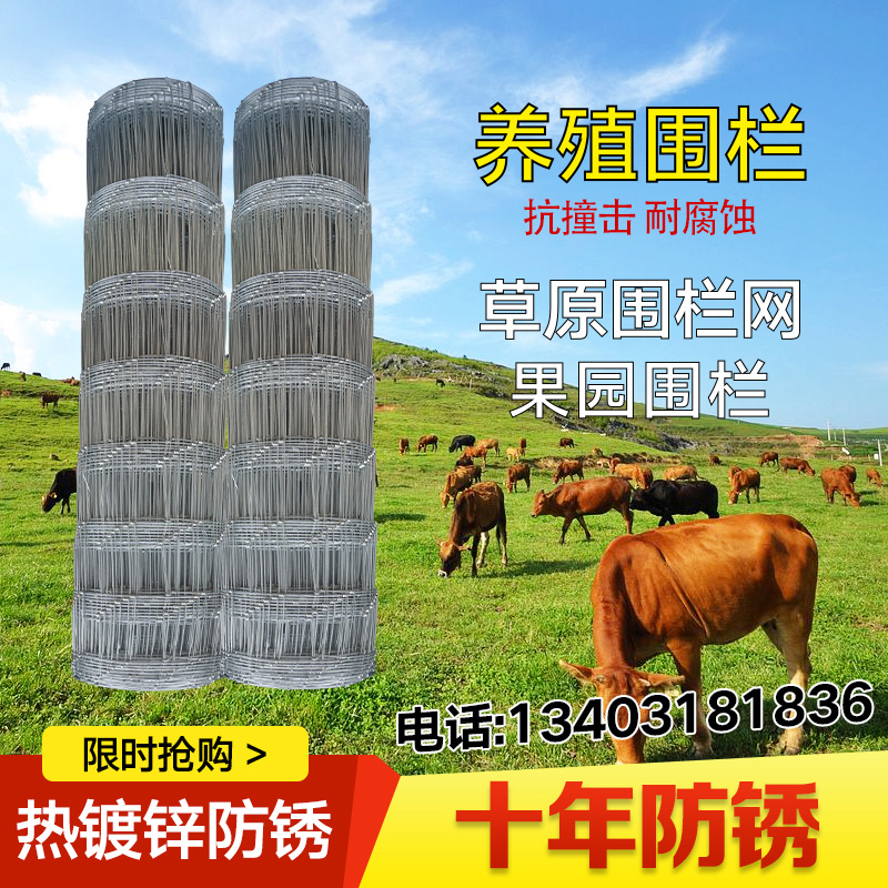 镀锌铁丝网栅栏草原养殖牛羊围栏网养鸡钢丝网护栏网X格铁网牛栏