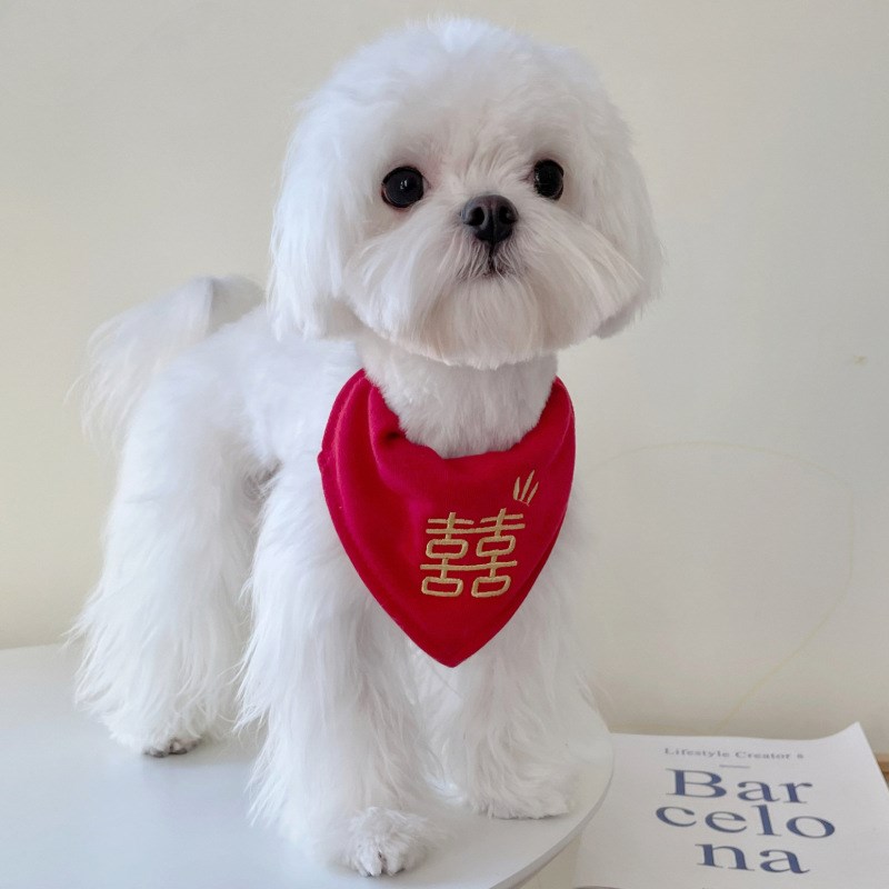 速发陪婚喜字口水巾订婚装结领结猫咪围兜饰嫁猫红色婚礼