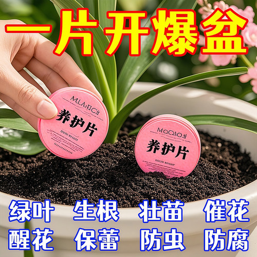 植物营养片通用型缓释片绿植花肥