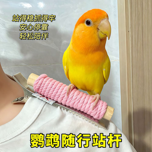 鹦鹉随心站肩互动训练站杆