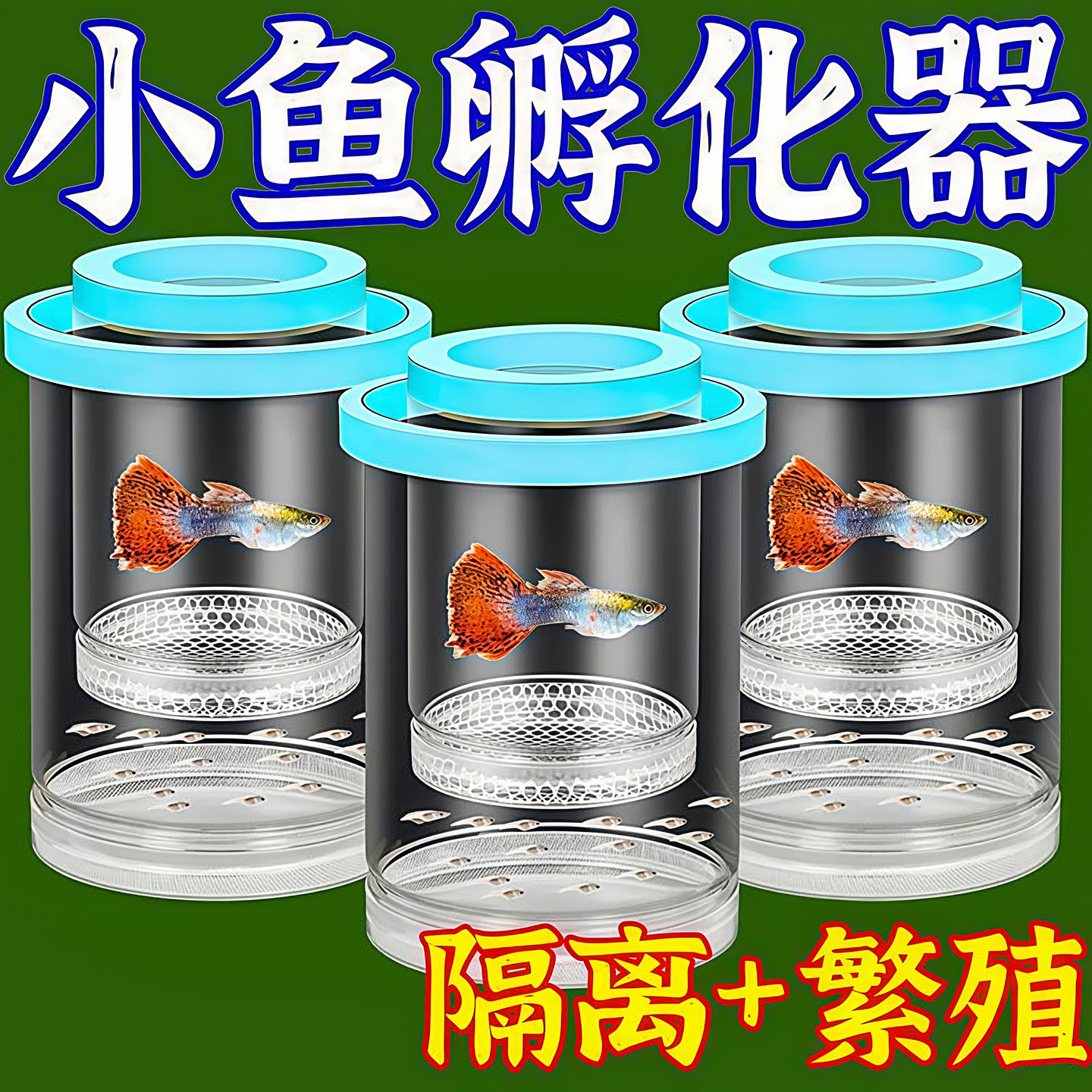 鱼缸隔离盒母鱼产房隔离繁殖盒