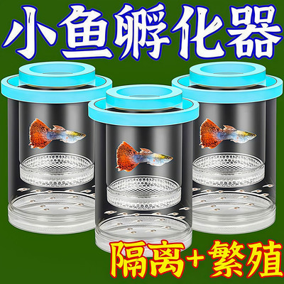 鱼缸隔离盒母鱼产房隔离繁殖盒