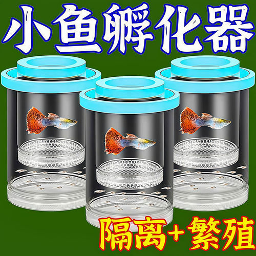 鱼缸隔离盒母鱼产房隔离繁殖盒