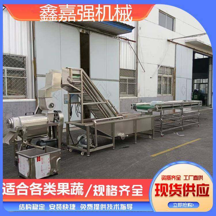 大型工业苹果梨榨汁机葡萄破碎收汁机橘子草莓百香果螺旋压汁机