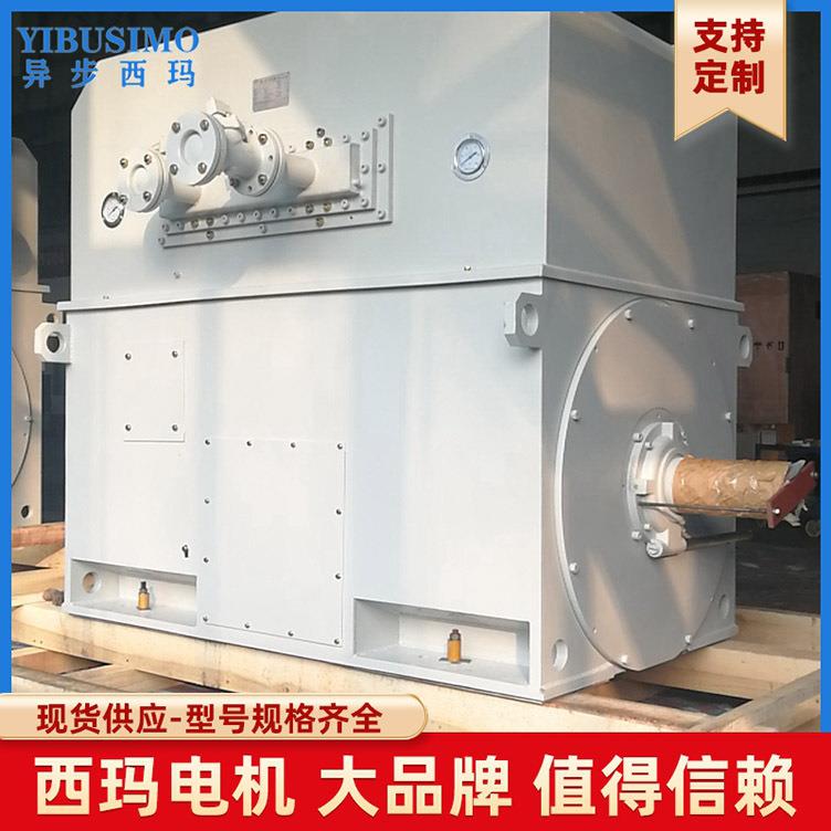 二级YS系列YS4004-2315W10V高压电机SIMO西玛空水冷却