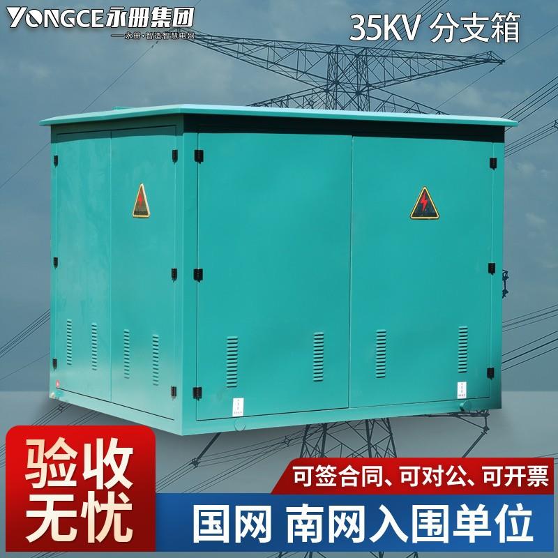 35kv电缆分接箱DFW户外高压分支箱10kv欧式电缆分接箱铜排分支箱