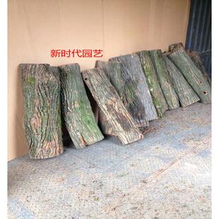 天然真树皮 柳树皮 包管道柱子 树皮装饰 道具用品 枯树 干树皮