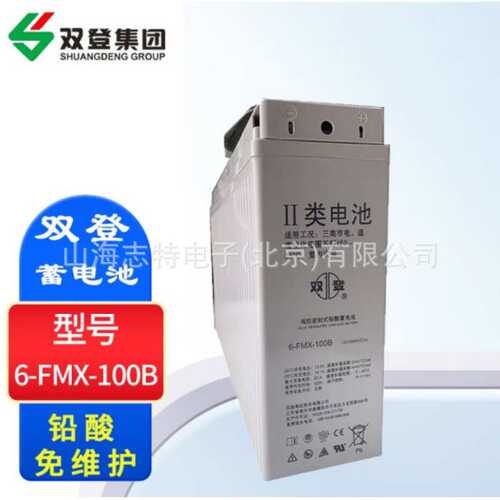 双登狭长型6-FMX-100B免维护铅酸蓄电池12V100AH UPS通信电源基站
