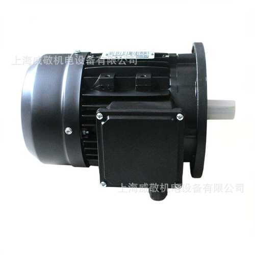 1.5KW MS2 90S-2 B5 电机 RL/RS/RLS100燃烧器专用 Riello利雅路