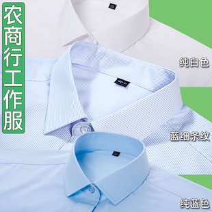 农村信用社短袖衬衫农商行工作服浅蓝色条纹男士工装衬衣半袖