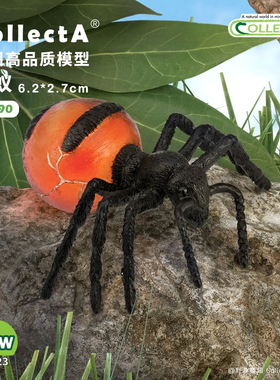 【88990蜜蚁】英国CollectA我你他官方授权正版动物模型早教