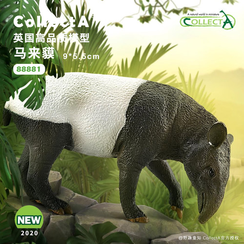 CollectA马来貘动物模型