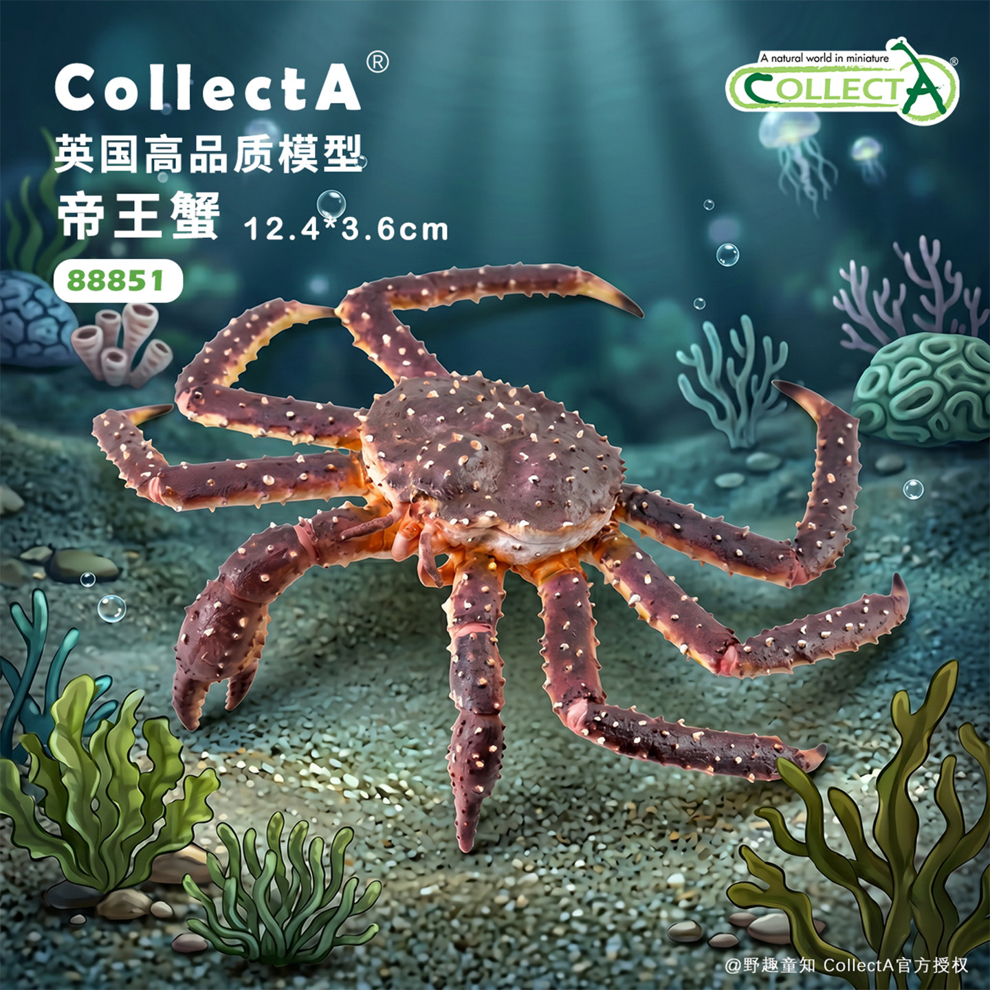 【88851帝王蟹】CollectA官方授权正版动物模型早教玩具海洋螃蟹