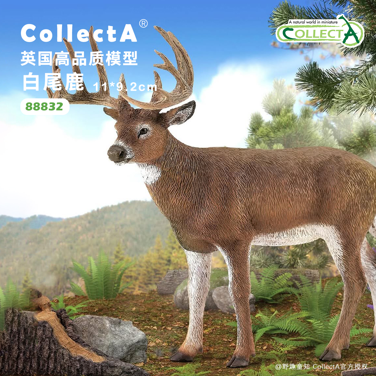 CollectA白尾鹿动物模型玩具