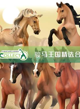 【顺丰包邮】【骏马合集】英国CollectA仿真动物模型公马母马玩具