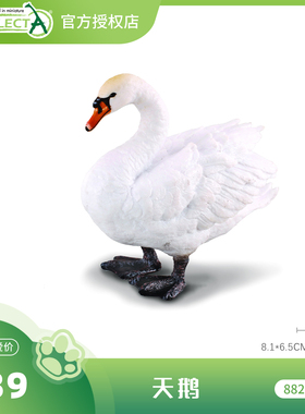 【88211天鹅】CollectA官方授权正版动物模型早教玩具